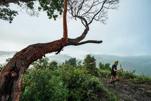 BIB: 
                            <button type="button" onclick="openModal(26510733)" class="btn btn-primary btn-sm float-right btn-popup" data-toggle="modal" data-target=".modal-high-quality">
                        <i class="fas fa-shopping-cart"></i> Add to Cart
                    </button>
                                            <button type="button" onclick="isThisMe(26510733, true)" class="btn btn-success btn-sm float-right btn-popup btn-isme hidden" data-toggle="tooltip" data-placement="bottom" title="นี่คือรูปของคุณใช่ไหม คลิกที่นี่เพื่อเอาเข้าอัลบั้ม">
                        <i class="fas fa-plus"></i> Add to album
                    </button>
                    <button type="button" onclick="isThisMe(26510733, false)" class="btn btn-warning btn-sm float-right btn-popup btn-isnotme hidden">
                        <i class="fas fa-ban"></i> Remove from album
                    </button>