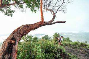 BIB: 
                            <button type="button" onclick="openModal(26510802)" class="btn btn-primary btn-sm float-right btn-popup" data-toggle="modal" data-target=".modal-high-quality">
                        <i class="fas fa-shopping-cart"></i> Add to Cart
                    </button>
                                            <button type="button" onclick="isThisMe(26510802, true)" class="btn btn-success btn-sm float-right btn-popup btn-isme hidden" data-toggle="tooltip" data-placement="bottom" title="นี่คือรูปของคุณใช่ไหม คลิกที่นี่เพื่อเอาเข้าอัลบั้ม">
                        <i class="fas fa-plus"></i> Add to album
                    </button>
                    <button type="button" onclick="isThisMe(26510802, false)" class="btn btn-warning btn-sm float-right btn-popup btn-isnotme hidden">
                        <i class="fas fa-ban"></i> Remove from album
                    </button>