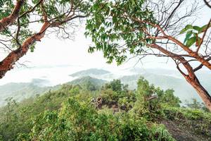 BIB: 
                            <button type="button" onclick="openModal(26510822)" class="btn btn-primary btn-sm float-right btn-popup" data-toggle="modal" data-target=".modal-high-quality">
                        <i class="fas fa-shopping-cart"></i> Add to Cart
                    </button>
                                            <button type="button" onclick="isThisMe(26510822, true)" class="btn btn-success btn-sm float-right btn-popup btn-isme hidden" data-toggle="tooltip" data-placement="bottom" title="นี่คือรูปของคุณใช่ไหม คลิกที่นี่เพื่อเอาเข้าอัลบั้ม">
                        <i class="fas fa-plus"></i> Add to album
                    </button>
                    <button type="button" onclick="isThisMe(26510822, false)" class="btn btn-warning btn-sm float-right btn-popup btn-isnotme hidden">
                        <i class="fas fa-ban"></i> Remove from album
                    </button>