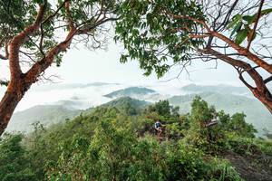 BIB: 
                            <button type="button" onclick="openModal(26510872)" class="btn btn-primary btn-sm float-right btn-popup" data-toggle="modal" data-target=".modal-high-quality">
                        <i class="fas fa-shopping-cart"></i> Add to Cart
                    </button>
                                            <button type="button" onclick="isThisMe(26510872, true)" class="btn btn-success btn-sm float-right btn-popup btn-isme hidden" data-toggle="tooltip" data-placement="bottom" title="นี่คือรูปของคุณใช่ไหม คลิกที่นี่เพื่อเอาเข้าอัลบั้ม">
                        <i class="fas fa-plus"></i> Add to album
                    </button>
                    <button type="button" onclick="isThisMe(26510872, false)" class="btn btn-warning btn-sm float-right btn-popup btn-isnotme hidden">
                        <i class="fas fa-ban"></i> Remove from album
                    </button>