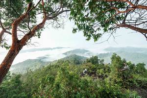 BIB: 
                            <button type="button" onclick="openModal(26510894)" class="btn btn-primary btn-sm float-right btn-popup" data-toggle="modal" data-target=".modal-high-quality">
                        <i class="fas fa-shopping-cart"></i> Add to Cart
                    </button>
                                            <button type="button" onclick="isThisMe(26510894, true)" class="btn btn-success btn-sm float-right btn-popup btn-isme hidden" data-toggle="tooltip" data-placement="bottom" title="นี่คือรูปของคุณใช่ไหม คลิกที่นี่เพื่อเอาเข้าอัลบั้ม">
                        <i class="fas fa-plus"></i> Add to album
                    </button>
                    <button type="button" onclick="isThisMe(26510894, false)" class="btn btn-warning btn-sm float-right btn-popup btn-isnotme hidden">
                        <i class="fas fa-ban"></i> Remove from album
                    </button>