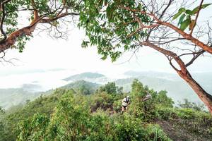 BIB: 
                            <button type="button" onclick="openModal(26510866)" class="btn btn-primary btn-sm float-right btn-popup" data-toggle="modal" data-target=".modal-high-quality">
                        <i class="fas fa-shopping-cart"></i> Add to Cart
                    </button>
                                            <button type="button" onclick="isThisMe(26510866, true)" class="btn btn-success btn-sm float-right btn-popup btn-isme hidden" data-toggle="tooltip" data-placement="bottom" title="นี่คือรูปของคุณใช่ไหม คลิกที่นี่เพื่อเอาเข้าอัลบั้ม">
                        <i class="fas fa-plus"></i> Add to album
                    </button>
                    <button type="button" onclick="isThisMe(26510866, false)" class="btn btn-warning btn-sm float-right btn-popup btn-isnotme hidden">
                        <i class="fas fa-ban"></i> Remove from album
                    </button>