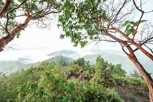 BIB: 
                            <button type="button" onclick="openModal(26510839)" class="btn btn-primary btn-sm float-right btn-popup" data-toggle="modal" data-target=".modal-high-quality">
                        <i class="fas fa-shopping-cart"></i> Add to Cart
                    </button>
                                            <button type="button" onclick="isThisMe(26510839, true)" class="btn btn-success btn-sm float-right btn-popup btn-isme hidden" data-toggle="tooltip" data-placement="bottom" title="นี่คือรูปของคุณใช่ไหม คลิกที่นี่เพื่อเอาเข้าอัลบั้ม">
                        <i class="fas fa-plus"></i> Add to album
                    </button>
                    <button type="button" onclick="isThisMe(26510839, false)" class="btn btn-warning btn-sm float-right btn-popup btn-isnotme hidden">
                        <i class="fas fa-ban"></i> Remove from album
                    </button>