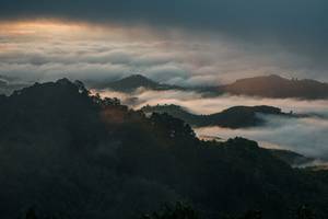 BIB: 
                            <button type="button" onclick="openModal(26510704)" class="btn btn-primary btn-sm float-right btn-popup" data-toggle="modal" data-target=".modal-high-quality">
                        <i class="fas fa-shopping-cart"></i> Add to Cart
                    </button>
                                            <button type="button" onclick="isThisMe(26510704, true)" class="btn btn-success btn-sm float-right btn-popup btn-isme hidden" data-toggle="tooltip" data-placement="bottom" title="นี่คือรูปของคุณใช่ไหม คลิกที่นี่เพื่อเอาเข้าอัลบั้ม">
                        <i class="fas fa-plus"></i> Add to album
                    </button>
                    <button type="button" onclick="isThisMe(26510704, false)" class="btn btn-warning btn-sm float-right btn-popup btn-isnotme hidden">
                        <i class="fas fa-ban"></i> Remove from album
                    </button>