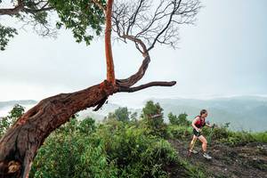 BIB: 
                            <button type="button" onclick="openModal(26510759)" class="btn btn-primary btn-sm float-right btn-popup" data-toggle="modal" data-target=".modal-high-quality">
                        <i class="fas fa-shopping-cart"></i> Add to Cart
                    </button>
                                            <button type="button" onclick="isThisMe(26510759, true)" class="btn btn-success btn-sm float-right btn-popup btn-isme hidden" data-toggle="tooltip" data-placement="bottom" title="นี่คือรูปของคุณใช่ไหม คลิกที่นี่เพื่อเอาเข้าอัลบั้ม">
                        <i class="fas fa-plus"></i> Add to album
                    </button>
                    <button type="button" onclick="isThisMe(26510759, false)" class="btn btn-warning btn-sm float-right btn-popup btn-isnotme hidden">
                        <i class="fas fa-ban"></i> Remove from album
                    </button>