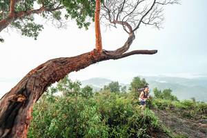 BIB: 
                            <button type="button" onclick="openModal(26510763)" class="btn btn-primary btn-sm float-right btn-popup" data-toggle="modal" data-target=".modal-high-quality">
                        <i class="fas fa-shopping-cart"></i> Add to Cart
                    </button>
                                            <button type="button" onclick="isThisMe(26510763, true)" class="btn btn-success btn-sm float-right btn-popup btn-isme hidden" data-toggle="tooltip" data-placement="bottom" title="นี่คือรูปของคุณใช่ไหม คลิกที่นี่เพื่อเอาเข้าอัลบั้ม">
                        <i class="fas fa-plus"></i> Add to album
                    </button>
                    <button type="button" onclick="isThisMe(26510763, false)" class="btn btn-warning btn-sm float-right btn-popup btn-isnotme hidden">
                        <i class="fas fa-ban"></i> Remove from album
                    </button>