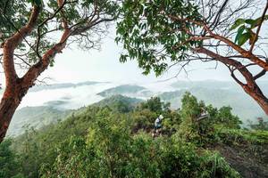 BIB: 
                            <button type="button" onclick="openModal(26510910)" class="btn btn-primary btn-sm float-right btn-popup" data-toggle="modal" data-target=".modal-high-quality">
                        <i class="fas fa-shopping-cart"></i> Add to Cart
                    </button>
                                            <button type="button" onclick="isThisMe(26510910, true)" class="btn btn-success btn-sm float-right btn-popup btn-isme hidden" data-toggle="tooltip" data-placement="bottom" title="นี่คือรูปของคุณใช่ไหม คลิกที่นี่เพื่อเอาเข้าอัลบั้ม">
                        <i class="fas fa-plus"></i> Add to album
                    </button>
                    <button type="button" onclick="isThisMe(26510910, false)" class="btn btn-warning btn-sm float-right btn-popup btn-isnotme hidden">
                        <i class="fas fa-ban"></i> Remove from album
                    </button>