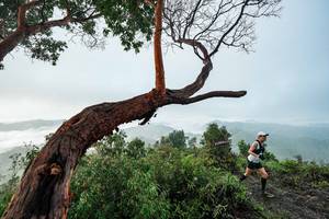 BIB: 
                            <button type="button" onclick="openModal(26510725)" class="btn btn-primary btn-sm float-right btn-popup" data-toggle="modal" data-target=".modal-high-quality">
                        <i class="fas fa-shopping-cart"></i> Add to Cart
                    </button>
                                            <button type="button" onclick="isThisMe(26510725, true)" class="btn btn-success btn-sm float-right btn-popup btn-isme hidden" data-toggle="tooltip" data-placement="bottom" title="นี่คือรูปของคุณใช่ไหม คลิกที่นี่เพื่อเอาเข้าอัลบั้ม">
                        <i class="fas fa-plus"></i> Add to album
                    </button>
                    <button type="button" onclick="isThisMe(26510725, false)" class="btn btn-warning btn-sm float-right btn-popup btn-isnotme hidden">
                        <i class="fas fa-ban"></i> Remove from album
                    </button>