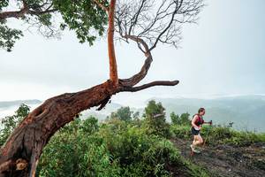 BIB: 
                            <button type="button" onclick="openModal(26510762)" class="btn btn-primary btn-sm float-right btn-popup" data-toggle="modal" data-target=".modal-high-quality">
                        <i class="fas fa-shopping-cart"></i> Add to Cart
                    </button>
                                            <button type="button" onclick="isThisMe(26510762, true)" class="btn btn-success btn-sm float-right btn-popup btn-isme hidden" data-toggle="tooltip" data-placement="bottom" title="นี่คือรูปของคุณใช่ไหม คลิกที่นี่เพื่อเอาเข้าอัลบั้ม">
                        <i class="fas fa-plus"></i> Add to album
                    </button>
                    <button type="button" onclick="isThisMe(26510762, false)" class="btn btn-warning btn-sm float-right btn-popup btn-isnotme hidden">
                        <i class="fas fa-ban"></i> Remove from album
                    </button>