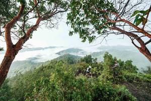 BIB: 
                            <button type="button" onclick="openModal(26510904)" class="btn btn-primary btn-sm float-right btn-popup" data-toggle="modal" data-target=".modal-high-quality">
                        <i class="fas fa-shopping-cart"></i> Add to Cart
                    </button>
                                            <button type="button" onclick="isThisMe(26510904, true)" class="btn btn-success btn-sm float-right btn-popup btn-isme hidden" data-toggle="tooltip" data-placement="bottom" title="นี่คือรูปของคุณใช่ไหม คลิกที่นี่เพื่อเอาเข้าอัลบั้ม">
                        <i class="fas fa-plus"></i> Add to album
                    </button>
                    <button type="button" onclick="isThisMe(26510904, false)" class="btn btn-warning btn-sm float-right btn-popup btn-isnotme hidden">
                        <i class="fas fa-ban"></i> Remove from album
                    </button>