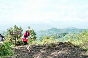 BIB: 
                            <button type="button" onclick="openModal(26521443)" class="btn btn-primary btn-sm float-right btn-popup" data-toggle="modal" data-target=".modal-high-quality">
                        <i class="fas fa-shopping-cart"></i> Add to Cart
                    </button>
                                            <button type="button" onclick="isThisMe(26521443, true)" class="btn btn-success btn-sm float-right btn-popup btn-isme hidden" data-toggle="tooltip" data-placement="bottom" title="นี่คือรูปของคุณใช่ไหม คลิกที่นี่เพื่อเอาเข้าอัลบั้ม">
                        <i class="fas fa-plus"></i> Add to album
                    </button>
                    <button type="button" onclick="isThisMe(26521443, false)" class="btn btn-warning btn-sm float-right btn-popup btn-isnotme hidden">
                        <i class="fas fa-ban"></i> Remove from album
                    </button>