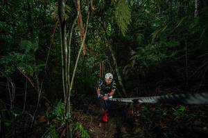 BIB: 
                            <button type="button" onclick="openModal(26199865)" class="btn btn-primary btn-sm float-right btn-popup" data-toggle="modal" data-target=".modal-high-quality">
                        <i class="fas fa-shopping-cart"></i> Add to Cart
                    </button>
                                            <button type="button" onclick="isThisMe(26199865, true)" class="btn btn-success btn-sm float-right btn-popup btn-isme hidden" data-toggle="tooltip" data-placement="bottom" title="นี่คือรูปของคุณใช่ไหม คลิกที่นี่เพื่อเอาเข้าอัลบั้ม">
                        <i class="fas fa-plus"></i> Add to album
                    </button>
                    <button type="button" onclick="isThisMe(26199865, false)" class="btn btn-warning btn-sm float-right btn-popup btn-isnotme hidden">
                        <i class="fas fa-ban"></i> Remove from album
                    </button>