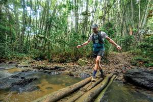 BIB: 
                            <button type="button" onclick="openModal(26501349)" class="btn btn-primary btn-sm float-right btn-popup" data-toggle="modal" data-target=".modal-high-quality">
                        <i class="fas fa-shopping-cart"></i> Add to Cart
                    </button>
                                            <button type="button" onclick="isThisMe(26501349, true)" class="btn btn-success btn-sm float-right btn-popup btn-isme hidden" data-toggle="tooltip" data-placement="bottom" title="นี่คือรูปของคุณใช่ไหม คลิกที่นี่เพื่อเอาเข้าอัลบั้ม">
                        <i class="fas fa-plus"></i> Add to album
                    </button>
                    <button type="button" onclick="isThisMe(26501349, false)" class="btn btn-warning btn-sm float-right btn-popup btn-isnotme hidden">
                        <i class="fas fa-ban"></i> Remove from album
                    </button>