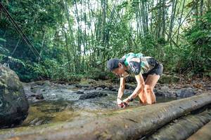 BIB: 
                            <button type="button" onclick="openModal(26425600)" class="btn btn-primary btn-sm float-right btn-popup" data-toggle="modal" data-target=".modal-high-quality">
                        <i class="fas fa-shopping-cart"></i> Add to Cart
                    </button>
                                            <button type="button" onclick="isThisMe(26425600, true)" class="btn btn-success btn-sm float-right btn-popup btn-isme hidden" data-toggle="tooltip" data-placement="bottom" title="นี่คือรูปของคุณใช่ไหม คลิกที่นี่เพื่อเอาเข้าอัลบั้ม">
                        <i class="fas fa-plus"></i> Add to album
                    </button>
                    <button type="button" onclick="isThisMe(26425600, false)" class="btn btn-warning btn-sm float-right btn-popup btn-isnotme hidden">
                        <i class="fas fa-ban"></i> Remove from album
                    </button>