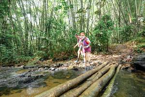 BIB: 
                            <button type="button" onclick="openModal(26439447)" class="btn btn-primary btn-sm float-right btn-popup" data-toggle="modal" data-target=".modal-high-quality">
                        <i class="fas fa-shopping-cart"></i> Add to Cart
                    </button>
                                            <button type="button" onclick="isThisMe(26439447, true)" class="btn btn-success btn-sm float-right btn-popup btn-isme hidden" data-toggle="tooltip" data-placement="bottom" title="นี่คือรูปของคุณใช่ไหม คลิกที่นี่เพื่อเอาเข้าอัลบั้ม">
                        <i class="fas fa-plus"></i> Add to album
                    </button>
                    <button type="button" onclick="isThisMe(26439447, false)" class="btn btn-warning btn-sm float-right btn-popup btn-isnotme hidden">
                        <i class="fas fa-ban"></i> Remove from album
                    </button>