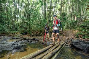 BIB: 
                            <button type="button" onclick="openModal(26445303)" class="btn btn-primary btn-sm float-right btn-popup" data-toggle="modal" data-target=".modal-high-quality">
                        <i class="fas fa-shopping-cart"></i> Add to Cart
                    </button>
                                            <button type="button" onclick="isThisMe(26445303, true)" class="btn btn-success btn-sm float-right btn-popup btn-isme hidden" data-toggle="tooltip" data-placement="bottom" title="นี่คือรูปของคุณใช่ไหม คลิกที่นี่เพื่อเอาเข้าอัลบั้ม">
                        <i class="fas fa-plus"></i> Add to album
                    </button>
                    <button type="button" onclick="isThisMe(26445303, false)" class="btn btn-warning btn-sm float-right btn-popup btn-isnotme hidden">
                        <i class="fas fa-ban"></i> Remove from album
                    </button>