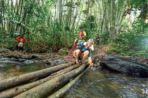 BIB: 
                            <button type="button" onclick="openModal(26444644)" class="btn btn-primary btn-sm float-right btn-popup" data-toggle="modal" data-target=".modal-high-quality">
                        <i class="fas fa-shopping-cart"></i> Add to Cart
                    </button>
                                            <button type="button" onclick="isThisMe(26444644, true)" class="btn btn-success btn-sm float-right btn-popup btn-isme hidden" data-toggle="tooltip" data-placement="bottom" title="นี่คือรูปของคุณใช่ไหม คลิกที่นี่เพื่อเอาเข้าอัลบั้ม">
                        <i class="fas fa-plus"></i> Add to album
                    </button>
                    <button type="button" onclick="isThisMe(26444644, false)" class="btn btn-warning btn-sm float-right btn-popup btn-isnotme hidden">
                        <i class="fas fa-ban"></i> Remove from album
                    </button>