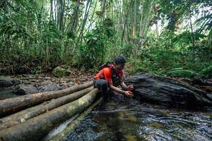 BIB: 
                            <button type="button" onclick="openModal(26425008)" class="btn btn-primary btn-sm float-right btn-popup" data-toggle="modal" data-target=".modal-high-quality">
                        <i class="fas fa-shopping-cart"></i> Add to Cart
                    </button>
                                            <button type="button" onclick="isThisMe(26425008, true)" class="btn btn-success btn-sm float-right btn-popup btn-isme hidden" data-toggle="tooltip" data-placement="bottom" title="นี่คือรูปของคุณใช่ไหม คลิกที่นี่เพื่อเอาเข้าอัลบั้ม">
                        <i class="fas fa-plus"></i> Add to album
                    </button>
                    <button type="button" onclick="isThisMe(26425008, false)" class="btn btn-warning btn-sm float-right btn-popup btn-isnotme hidden">
                        <i class="fas fa-ban"></i> Remove from album
                    </button>