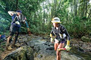 BIB: 
                            <button type="button" onclick="openModal(26434531)" class="btn btn-primary btn-sm float-right btn-popup" data-toggle="modal" data-target=".modal-high-quality">
                        <i class="fas fa-shopping-cart"></i> Add to Cart
                    </button>
                                            <button type="button" onclick="isThisMe(26434531, true)" class="btn btn-success btn-sm float-right btn-popup btn-isme hidden" data-toggle="tooltip" data-placement="bottom" title="นี่คือรูปของคุณใช่ไหม คลิกที่นี่เพื่อเอาเข้าอัลบั้ม">
                        <i class="fas fa-plus"></i> Add to album
                    </button>
                    <button type="button" onclick="isThisMe(26434531, false)" class="btn btn-warning btn-sm float-right btn-popup btn-isnotme hidden">
                        <i class="fas fa-ban"></i> Remove from album
                    </button>