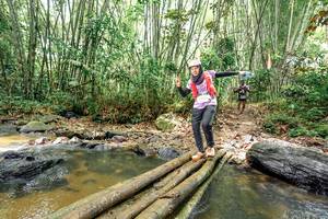 BIB: 
                            <button type="button" onclick="openModal(26446754)" class="btn btn-primary btn-sm float-right btn-popup" data-toggle="modal" data-target=".modal-high-quality">
                        <i class="fas fa-shopping-cart"></i> Add to Cart
                    </button>
                                            <button type="button" onclick="isThisMe(26446754, true)" class="btn btn-success btn-sm float-right btn-popup btn-isme hidden" data-toggle="tooltip" data-placement="bottom" title="นี่คือรูปของคุณใช่ไหม คลิกที่นี่เพื่อเอาเข้าอัลบั้ม">
                        <i class="fas fa-plus"></i> Add to album
                    </button>
                    <button type="button" onclick="isThisMe(26446754, false)" class="btn btn-warning btn-sm float-right btn-popup btn-isnotme hidden">
                        <i class="fas fa-ban"></i> Remove from album
                    </button>