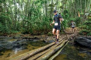 BIB: 
                            <button type="button" onclick="openModal(26502642)" class="btn btn-primary btn-sm float-right btn-popup" data-toggle="modal" data-target=".modal-high-quality">
                        <i class="fas fa-shopping-cart"></i> Add to Cart
                    </button>
                                            <button type="button" onclick="isThisMe(26502642, true)" class="btn btn-success btn-sm float-right btn-popup btn-isme hidden" data-toggle="tooltip" data-placement="bottom" title="นี่คือรูปของคุณใช่ไหม คลิกที่นี่เพื่อเอาเข้าอัลบั้ม">
                        <i class="fas fa-plus"></i> Add to album
                    </button>
                    <button type="button" onclick="isThisMe(26502642, false)" class="btn btn-warning btn-sm float-right btn-popup btn-isnotme hidden">
                        <i class="fas fa-ban"></i> Remove from album
                    </button>