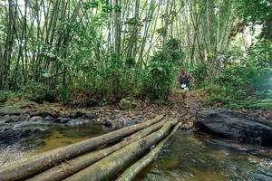 BIB: 
                            <button type="button" onclick="openModal(26438445)" class="btn btn-primary btn-sm float-right btn-popup" data-toggle="modal" data-target=".modal-high-quality">
                        <i class="fas fa-shopping-cart"></i> Add to Cart
                    </button>
                                            <button type="button" onclick="isThisMe(26438445, true)" class="btn btn-success btn-sm float-right btn-popup btn-isme hidden" data-toggle="tooltip" data-placement="bottom" title="นี่คือรูปของคุณใช่ไหม คลิกที่นี่เพื่อเอาเข้าอัลบั้ม">
                        <i class="fas fa-plus"></i> Add to album
                    </button>
                    <button type="button" onclick="isThisMe(26438445, false)" class="btn btn-warning btn-sm float-right btn-popup btn-isnotme hidden">
                        <i class="fas fa-ban"></i> Remove from album
                    </button>