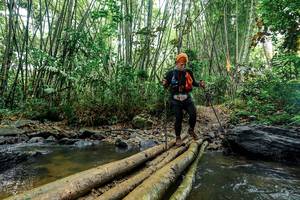 BIB: 
                            <button type="button" onclick="openModal(26462321)" class="btn btn-primary btn-sm float-right btn-popup" data-toggle="modal" data-target=".modal-high-quality">
                        <i class="fas fa-shopping-cart"></i> Add to Cart
                    </button>
                                            <button type="button" onclick="isThisMe(26462321, true)" class="btn btn-success btn-sm float-right btn-popup btn-isme hidden" data-toggle="tooltip" data-placement="bottom" title="นี่คือรูปของคุณใช่ไหม คลิกที่นี่เพื่อเอาเข้าอัลบั้ม">
                        <i class="fas fa-plus"></i> Add to album
                    </button>
                    <button type="button" onclick="isThisMe(26462321, false)" class="btn btn-warning btn-sm float-right btn-popup btn-isnotme hidden">
                        <i class="fas fa-ban"></i> Remove from album
                    </button>