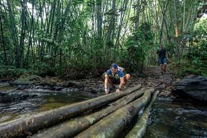 BIB: 
                            <button type="button" onclick="openModal(26431830)" class="btn btn-primary btn-sm float-right btn-popup" data-toggle="modal" data-target=".modal-high-quality">
                        <i class="fas fa-shopping-cart"></i> Add to Cart
                    </button>
                                            <button type="button" onclick="isThisMe(26431830, true)" class="btn btn-success btn-sm float-right btn-popup btn-isme hidden" data-toggle="tooltip" data-placement="bottom" title="นี่คือรูปของคุณใช่ไหม คลิกที่นี่เพื่อเอาเข้าอัลบั้ม">
                        <i class="fas fa-plus"></i> Add to album
                    </button>
                    <button type="button" onclick="isThisMe(26431830, false)" class="btn btn-warning btn-sm float-right btn-popup btn-isnotme hidden">
                        <i class="fas fa-ban"></i> Remove from album
                    </button>