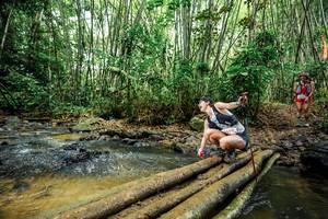 BIB: 
                            <button type="button" onclick="openModal(26503697)" class="btn btn-primary btn-sm float-right btn-popup" data-toggle="modal" data-target=".modal-high-quality">
                        <i class="fas fa-shopping-cart"></i> Add to Cart
                    </button>
                                            <button type="button" onclick="isThisMe(26503697, true)" class="btn btn-success btn-sm float-right btn-popup btn-isme hidden" data-toggle="tooltip" data-placement="bottom" title="นี่คือรูปของคุณใช่ไหม คลิกที่นี่เพื่อเอาเข้าอัลบั้ม">
                        <i class="fas fa-plus"></i> Add to album
                    </button>
                    <button type="button" onclick="isThisMe(26503697, false)" class="btn btn-warning btn-sm float-right btn-popup btn-isnotme hidden">
                        <i class="fas fa-ban"></i> Remove from album
                    </button>