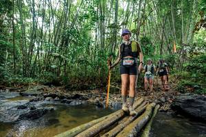 BIB: 
                            <button type="button" onclick="openModal(26464612)" class="btn btn-primary btn-sm float-right btn-popup" data-toggle="modal" data-target=".modal-high-quality">
                        <i class="fas fa-shopping-cart"></i> Add to Cart
                    </button>
                                            <button type="button" onclick="isThisMe(26464612, true)" class="btn btn-success btn-sm float-right btn-popup btn-isme hidden" data-toggle="tooltip" data-placement="bottom" title="นี่คือรูปของคุณใช่ไหม คลิกที่นี่เพื่อเอาเข้าอัลบั้ม">
                        <i class="fas fa-plus"></i> Add to album
                    </button>
                    <button type="button" onclick="isThisMe(26464612, false)" class="btn btn-warning btn-sm float-right btn-popup btn-isnotme hidden">
                        <i class="fas fa-ban"></i> Remove from album
                    </button>