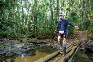 BIB: 
                            <button type="button" onclick="openModal(26463927)" class="btn btn-primary btn-sm float-right btn-popup" data-toggle="modal" data-target=".modal-high-quality">
                        <i class="fas fa-shopping-cart"></i> Add to Cart
                    </button>
                                            <button type="button" onclick="isThisMe(26463927, true)" class="btn btn-success btn-sm float-right btn-popup btn-isme hidden" data-toggle="tooltip" data-placement="bottom" title="นี่คือรูปของคุณใช่ไหม คลิกที่นี่เพื่อเอาเข้าอัลบั้ม">
                        <i class="fas fa-plus"></i> Add to album
                    </button>
                    <button type="button" onclick="isThisMe(26463927, false)" class="btn btn-warning btn-sm float-right btn-popup btn-isnotme hidden">
                        <i class="fas fa-ban"></i> Remove from album
                    </button>