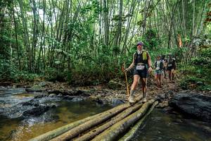 BIB: 
                            <button type="button" onclick="openModal(26464545)" class="btn btn-primary btn-sm float-right btn-popup" data-toggle="modal" data-target=".modal-high-quality">
                        <i class="fas fa-shopping-cart"></i> Add to Cart
                    </button>
                                            <button type="button" onclick="isThisMe(26464545, true)" class="btn btn-success btn-sm float-right btn-popup btn-isme hidden" data-toggle="tooltip" data-placement="bottom" title="นี่คือรูปของคุณใช่ไหม คลิกที่นี่เพื่อเอาเข้าอัลบั้ม">
                        <i class="fas fa-plus"></i> Add to album
                    </button>
                    <button type="button" onclick="isThisMe(26464545, false)" class="btn btn-warning btn-sm float-right btn-popup btn-isnotme hidden">
                        <i class="fas fa-ban"></i> Remove from album
                    </button>