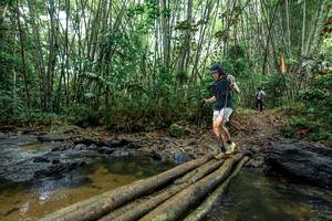 BIB: 
                            <button type="button" onclick="openModal(26500722)" class="btn btn-primary btn-sm float-right btn-popup" data-toggle="modal" data-target=".modal-high-quality">
                        <i class="fas fa-shopping-cart"></i> Add to Cart
                    </button>
                                            <button type="button" onclick="isThisMe(26500722, true)" class="btn btn-success btn-sm float-right btn-popup btn-isme hidden" data-toggle="tooltip" data-placement="bottom" title="นี่คือรูปของคุณใช่ไหม คลิกที่นี่เพื่อเอาเข้าอัลบั้ม">
                        <i class="fas fa-plus"></i> Add to album
                    </button>
                    <button type="button" onclick="isThisMe(26500722, false)" class="btn btn-warning btn-sm float-right btn-popup btn-isnotme hidden">
                        <i class="fas fa-ban"></i> Remove from album
                    </button>