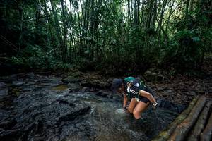 BIB: 
                            <button type="button" onclick="openModal(26429805)" class="btn btn-primary btn-sm float-right btn-popup" data-toggle="modal" data-target=".modal-high-quality">
                        <i class="fas fa-shopping-cart"></i> Add to Cart
                    </button>
                                            <button type="button" onclick="isThisMe(26429805, true)" class="btn btn-success btn-sm float-right btn-popup btn-isme hidden" data-toggle="tooltip" data-placement="bottom" title="นี่คือรูปของคุณใช่ไหม คลิกที่นี่เพื่อเอาเข้าอัลบั้ม">
                        <i class="fas fa-plus"></i> Add to album
                    </button>
                    <button type="button" onclick="isThisMe(26429805, false)" class="btn btn-warning btn-sm float-right btn-popup btn-isnotme hidden">
                        <i class="fas fa-ban"></i> Remove from album
                    </button>