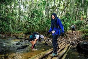 BIB: 
                            <button type="button" onclick="openModal(26505448)" class="btn btn-primary btn-sm float-right btn-popup" data-toggle="modal" data-target=".modal-high-quality">
                        <i class="fas fa-shopping-cart"></i> Add to Cart
                    </button>
                                            <button type="button" onclick="isThisMe(26505448, true)" class="btn btn-success btn-sm float-right btn-popup btn-isme hidden" data-toggle="tooltip" data-placement="bottom" title="นี่คือรูปของคุณใช่ไหม คลิกที่นี่เพื่อเอาเข้าอัลบั้ม">
                        <i class="fas fa-plus"></i> Add to album
                    </button>
                    <button type="button" onclick="isThisMe(26505448, false)" class="btn btn-warning btn-sm float-right btn-popup btn-isnotme hidden">
                        <i class="fas fa-ban"></i> Remove from album
                    </button>