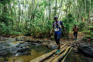 BIB: 
                            <button type="button" onclick="openModal(26446967)" class="btn btn-primary btn-sm float-right btn-popup" data-toggle="modal" data-target=".modal-high-quality">
                        <i class="fas fa-shopping-cart"></i> Add to Cart
                    </button>
                                            <button type="button" onclick="isThisMe(26446967, true)" class="btn btn-success btn-sm float-right btn-popup btn-isme hidden" data-toggle="tooltip" data-placement="bottom" title="นี่คือรูปของคุณใช่ไหม คลิกที่นี่เพื่อเอาเข้าอัลบั้ม">
                        <i class="fas fa-plus"></i> Add to album
                    </button>
                    <button type="button" onclick="isThisMe(26446967, false)" class="btn btn-warning btn-sm float-right btn-popup btn-isnotme hidden">
                        <i class="fas fa-ban"></i> Remove from album
                    </button>