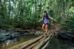 BIB: 
                            <button type="button" onclick="openModal(26478389)" class="btn btn-primary btn-sm float-right btn-popup" data-toggle="modal" data-target=".modal-high-quality">
                        <i class="fas fa-shopping-cart"></i> Add to Cart
                    </button>
                                            <button type="button" onclick="isThisMe(26478389, true)" class="btn btn-success btn-sm float-right btn-popup btn-isme hidden" data-toggle="tooltip" data-placement="bottom" title="นี่คือรูปของคุณใช่ไหม คลิกที่นี่เพื่อเอาเข้าอัลบั้ม">
                        <i class="fas fa-plus"></i> Add to album
                    </button>
                    <button type="button" onclick="isThisMe(26478389, false)" class="btn btn-warning btn-sm float-right btn-popup btn-isnotme hidden">
                        <i class="fas fa-ban"></i> Remove from album
                    </button>