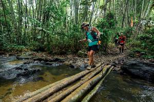 BIB: 
                            <button type="button" onclick="openModal(26451530)" class="btn btn-primary btn-sm float-right btn-popup" data-toggle="modal" data-target=".modal-high-quality">
                        <i class="fas fa-shopping-cart"></i> Add to Cart
                    </button>
                                            <button type="button" onclick="isThisMe(26451530, true)" class="btn btn-success btn-sm float-right btn-popup btn-isme hidden" data-toggle="tooltip" data-placement="bottom" title="นี่คือรูปของคุณใช่ไหม คลิกที่นี่เพื่อเอาเข้าอัลบั้ม">
                        <i class="fas fa-plus"></i> Add to album
                    </button>
                    <button type="button" onclick="isThisMe(26451530, false)" class="btn btn-warning btn-sm float-right btn-popup btn-isnotme hidden">
                        <i class="fas fa-ban"></i> Remove from album
                    </button>