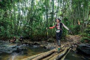 BIB: 
                            <button type="button" onclick="openModal(26491139)" class="btn btn-primary btn-sm float-right btn-popup" data-toggle="modal" data-target=".modal-high-quality">
                        <i class="fas fa-shopping-cart"></i> Add to Cart
                    </button>
                                            <button type="button" onclick="isThisMe(26491139, true)" class="btn btn-success btn-sm float-right btn-popup btn-isme hidden" data-toggle="tooltip" data-placement="bottom" title="นี่คือรูปของคุณใช่ไหม คลิกที่นี่เพื่อเอาเข้าอัลบั้ม">
                        <i class="fas fa-plus"></i> Add to album
                    </button>
                    <button type="button" onclick="isThisMe(26491139, false)" class="btn btn-warning btn-sm float-right btn-popup btn-isnotme hidden">
                        <i class="fas fa-ban"></i> Remove from album
                    </button>