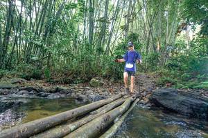 BIB: 
                            <button type="button" onclick="openModal(26426623)" class="btn btn-primary btn-sm float-right btn-popup" data-toggle="modal" data-target=".modal-high-quality">
                        <i class="fas fa-shopping-cart"></i> Add to Cart
                    </button>
                                            <button type="button" onclick="isThisMe(26426623, true)" class="btn btn-success btn-sm float-right btn-popup btn-isme hidden" data-toggle="tooltip" data-placement="bottom" title="นี่คือรูปของคุณใช่ไหม คลิกที่นี่เพื่อเอาเข้าอัลบั้ม">
                        <i class="fas fa-plus"></i> Add to album
                    </button>
                    <button type="button" onclick="isThisMe(26426623, false)" class="btn btn-warning btn-sm float-right btn-popup btn-isnotme hidden">
                        <i class="fas fa-ban"></i> Remove from album
                    </button>