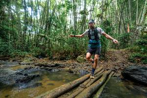 BIB: 
                            <button type="button" onclick="openModal(26501355)" class="btn btn-primary btn-sm float-right btn-popup" data-toggle="modal" data-target=".modal-high-quality">
                        <i class="fas fa-shopping-cart"></i> Add to Cart
                    </button>
                                            <button type="button" onclick="isThisMe(26501355, true)" class="btn btn-success btn-sm float-right btn-popup btn-isme hidden" data-toggle="tooltip" data-placement="bottom" title="นี่คือรูปของคุณใช่ไหม คลิกที่นี่เพื่อเอาเข้าอัลบั้ม">
                        <i class="fas fa-plus"></i> Add to album
                    </button>
                    <button type="button" onclick="isThisMe(26501355, false)" class="btn btn-warning btn-sm float-right btn-popup btn-isnotme hidden">
                        <i class="fas fa-ban"></i> Remove from album
                    </button>