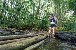 BIB: 
                            <button type="button" onclick="openModal(26436570)" class="btn btn-primary btn-sm float-right btn-popup" data-toggle="modal" data-target=".modal-high-quality">
                        <i class="fas fa-shopping-cart"></i> Add to Cart
                    </button>
                                            <button type="button" onclick="isThisMe(26436570, true)" class="btn btn-success btn-sm float-right btn-popup btn-isme hidden" data-toggle="tooltip" data-placement="bottom" title="นี่คือรูปของคุณใช่ไหม คลิกที่นี่เพื่อเอาเข้าอัลบั้ม">
                        <i class="fas fa-plus"></i> Add to album
                    </button>
                    <button type="button" onclick="isThisMe(26436570, false)" class="btn btn-warning btn-sm float-right btn-popup btn-isnotme hidden">
                        <i class="fas fa-ban"></i> Remove from album
                    </button>