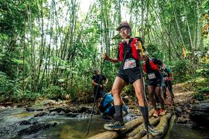 BIB: 
                            <button type="button" onclick="openModal(26462714)" class="btn btn-primary btn-sm float-right btn-popup" data-toggle="modal" data-target=".modal-high-quality">
                        <i class="fas fa-shopping-cart"></i> Add to Cart
                    </button>
                                            <button type="button" onclick="isThisMe(26462714, true)" class="btn btn-success btn-sm float-right btn-popup btn-isme hidden" data-toggle="tooltip" data-placement="bottom" title="นี่คือรูปของคุณใช่ไหม คลิกที่นี่เพื่อเอาเข้าอัลบั้ม">
                        <i class="fas fa-plus"></i> Add to album
                    </button>
                    <button type="button" onclick="isThisMe(26462714, false)" class="btn btn-warning btn-sm float-right btn-popup btn-isnotme hidden">
                        <i class="fas fa-ban"></i> Remove from album
                    </button>