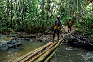 BIB: 
                            <button type="button" onclick="openModal(26496803)" class="btn btn-primary btn-sm float-right btn-popup" data-toggle="modal" data-target=".modal-high-quality">
                        <i class="fas fa-shopping-cart"></i> Add to Cart
                    </button>
                                            <button type="button" onclick="isThisMe(26496803, true)" class="btn btn-success btn-sm float-right btn-popup btn-isme hidden" data-toggle="tooltip" data-placement="bottom" title="นี่คือรูปของคุณใช่ไหม คลิกที่นี่เพื่อเอาเข้าอัลบั้ม">
                        <i class="fas fa-plus"></i> Add to album
                    </button>
                    <button type="button" onclick="isThisMe(26496803, false)" class="btn btn-warning btn-sm float-right btn-popup btn-isnotme hidden">
                        <i class="fas fa-ban"></i> Remove from album
                    </button>