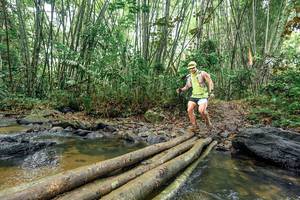 BIB: 
                            <button type="button" onclick="openModal(26451296)" class="btn btn-primary btn-sm float-right btn-popup" data-toggle="modal" data-target=".modal-high-quality">
                        <i class="fas fa-shopping-cart"></i> Add to Cart
                    </button>
                                            <button type="button" onclick="isThisMe(26451296, true)" class="btn btn-success btn-sm float-right btn-popup btn-isme hidden" data-toggle="tooltip" data-placement="bottom" title="นี่คือรูปของคุณใช่ไหม คลิกที่นี่เพื่อเอาเข้าอัลบั้ม">
                        <i class="fas fa-plus"></i> Add to album
                    </button>
                    <button type="button" onclick="isThisMe(26451296, false)" class="btn btn-warning btn-sm float-right btn-popup btn-isnotme hidden">
                        <i class="fas fa-ban"></i> Remove from album
                    </button>