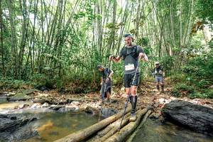 BIB: 
                            <button type="button" onclick="openModal(26443876)" class="btn btn-primary btn-sm float-right btn-popup" data-toggle="modal" data-target=".modal-high-quality">
                        <i class="fas fa-shopping-cart"></i> Add to Cart
                    </button>
                                            <button type="button" onclick="isThisMe(26443876, true)" class="btn btn-success btn-sm float-right btn-popup btn-isme hidden" data-toggle="tooltip" data-placement="bottom" title="นี่คือรูปของคุณใช่ไหม คลิกที่นี่เพื่อเอาเข้าอัลบั้ม">
                        <i class="fas fa-plus"></i> Add to album
                    </button>
                    <button type="button" onclick="isThisMe(26443876, false)" class="btn btn-warning btn-sm float-right btn-popup btn-isnotme hidden">
                        <i class="fas fa-ban"></i> Remove from album
                    </button>