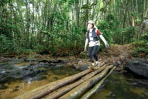 BIB: 
                            <button type="button" onclick="openModal(26502378)" class="btn btn-primary btn-sm float-right btn-popup" data-toggle="modal" data-target=".modal-high-quality">
                        <i class="fas fa-shopping-cart"></i> Add to Cart
                    </button>
                                            <button type="button" onclick="isThisMe(26502378, true)" class="btn btn-success btn-sm float-right btn-popup btn-isme hidden" data-toggle="tooltip" data-placement="bottom" title="นี่คือรูปของคุณใช่ไหม คลิกที่นี่เพื่อเอาเข้าอัลบั้ม">
                        <i class="fas fa-plus"></i> Add to album
                    </button>
                    <button type="button" onclick="isThisMe(26502378, false)" class="btn btn-warning btn-sm float-right btn-popup btn-isnotme hidden">
                        <i class="fas fa-ban"></i> Remove from album
                    </button>