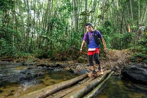 BIB: 
                            <button type="button" onclick="openModal(26502617)" class="btn btn-primary btn-sm float-right btn-popup" data-toggle="modal" data-target=".modal-high-quality">
                        <i class="fas fa-shopping-cart"></i> Add to Cart
                    </button>
                                            <button type="button" onclick="isThisMe(26502617, true)" class="btn btn-success btn-sm float-right btn-popup btn-isme hidden" data-toggle="tooltip" data-placement="bottom" title="นี่คือรูปของคุณใช่ไหม คลิกที่นี่เพื่อเอาเข้าอัลบั้ม">
                        <i class="fas fa-plus"></i> Add to album
                    </button>
                    <button type="button" onclick="isThisMe(26502617, false)" class="btn btn-warning btn-sm float-right btn-popup btn-isnotme hidden">
                        <i class="fas fa-ban"></i> Remove from album
                    </button>