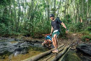 BIB: 
                            <button type="button" onclick="openModal(26435960)" class="btn btn-primary btn-sm float-right btn-popup" data-toggle="modal" data-target=".modal-high-quality">
                        <i class="fas fa-shopping-cart"></i> Add to Cart
                    </button>
                                            <button type="button" onclick="isThisMe(26435960, true)" class="btn btn-success btn-sm float-right btn-popup btn-isme hidden" data-toggle="tooltip" data-placement="bottom" title="นี่คือรูปของคุณใช่ไหม คลิกที่นี่เพื่อเอาเข้าอัลบั้ม">
                        <i class="fas fa-plus"></i> Add to album
                    </button>
                    <button type="button" onclick="isThisMe(26435960, false)" class="btn btn-warning btn-sm float-right btn-popup btn-isnotme hidden">
                        <i class="fas fa-ban"></i> Remove from album
                    </button>