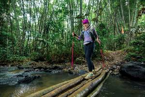 BIB: 
                            <button type="button" onclick="openModal(26488988)" class="btn btn-primary btn-sm float-right btn-popup" data-toggle="modal" data-target=".modal-high-quality">
                        <i class="fas fa-shopping-cart"></i> Add to Cart
                    </button>
                                            <button type="button" onclick="isThisMe(26488988, true)" class="btn btn-success btn-sm float-right btn-popup btn-isme hidden" data-toggle="tooltip" data-placement="bottom" title="นี่คือรูปของคุณใช่ไหม คลิกที่นี่เพื่อเอาเข้าอัลบั้ม">
                        <i class="fas fa-plus"></i> Add to album
                    </button>
                    <button type="button" onclick="isThisMe(26488988, false)" class="btn btn-warning btn-sm float-right btn-popup btn-isnotme hidden">
                        <i class="fas fa-ban"></i> Remove from album
                    </button>